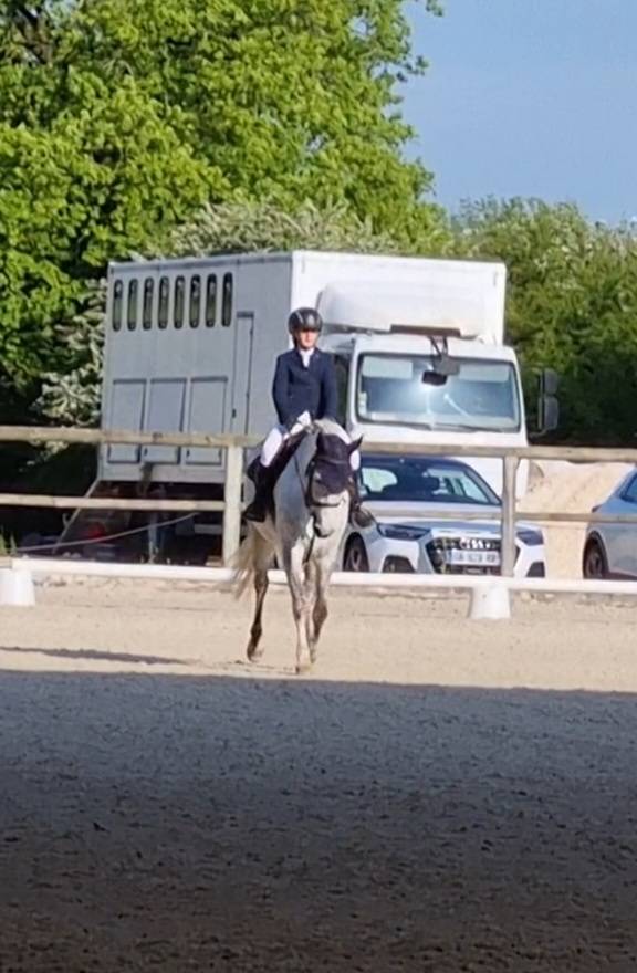 Ponette DSA, née en 2012