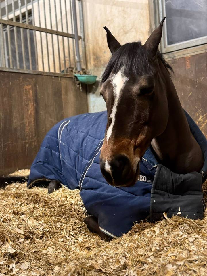 À vendre ou à louer 