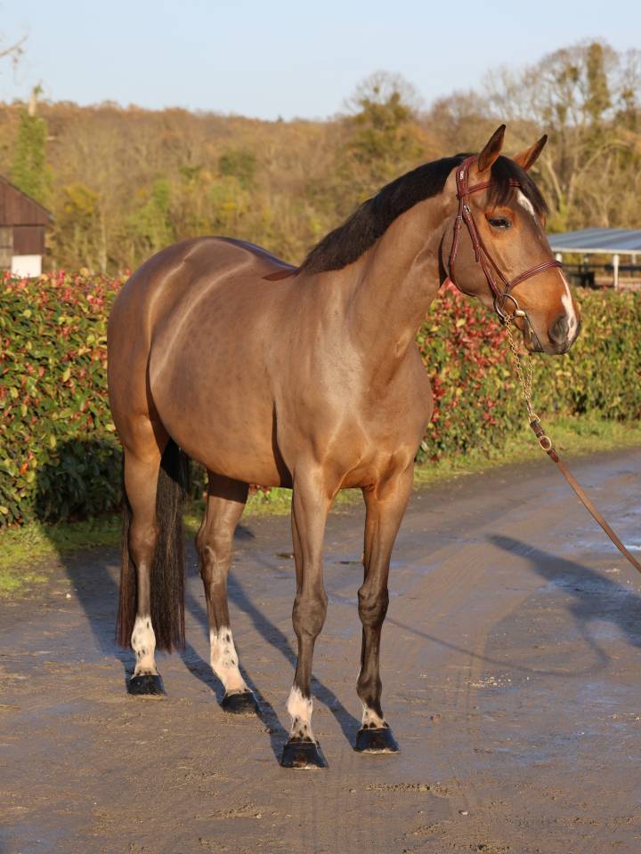 LISBONNE DU MAIZERET