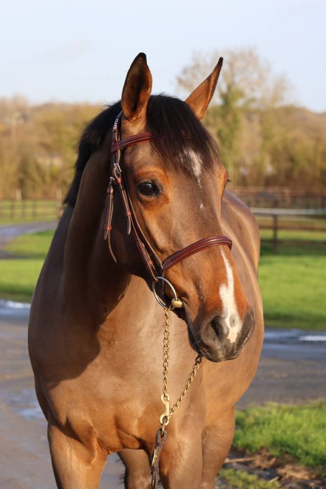 LISBONNE DU MAIZERET