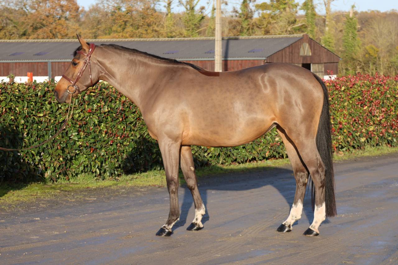 LISBONNE DU MAIZERET