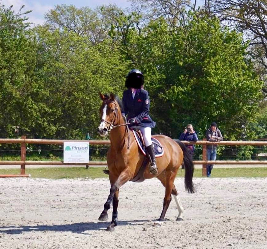 A VENDRE Jument selle Français 15 ans 