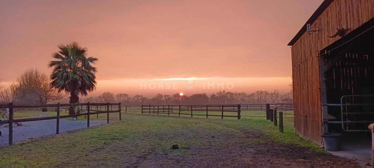 Propri&eacute;t&eacute; &Eacute;questre Cl&eacute; en Main, Cadre Id&eacute;al proche Ancenis