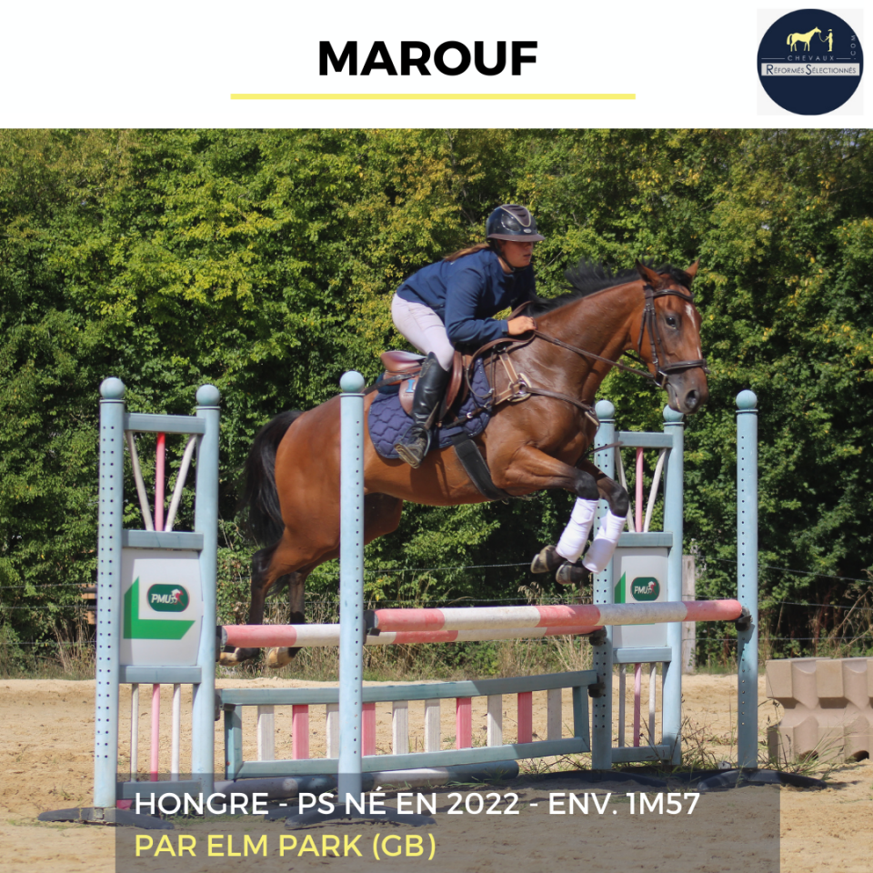 MAROUF - PS - 3 ANS