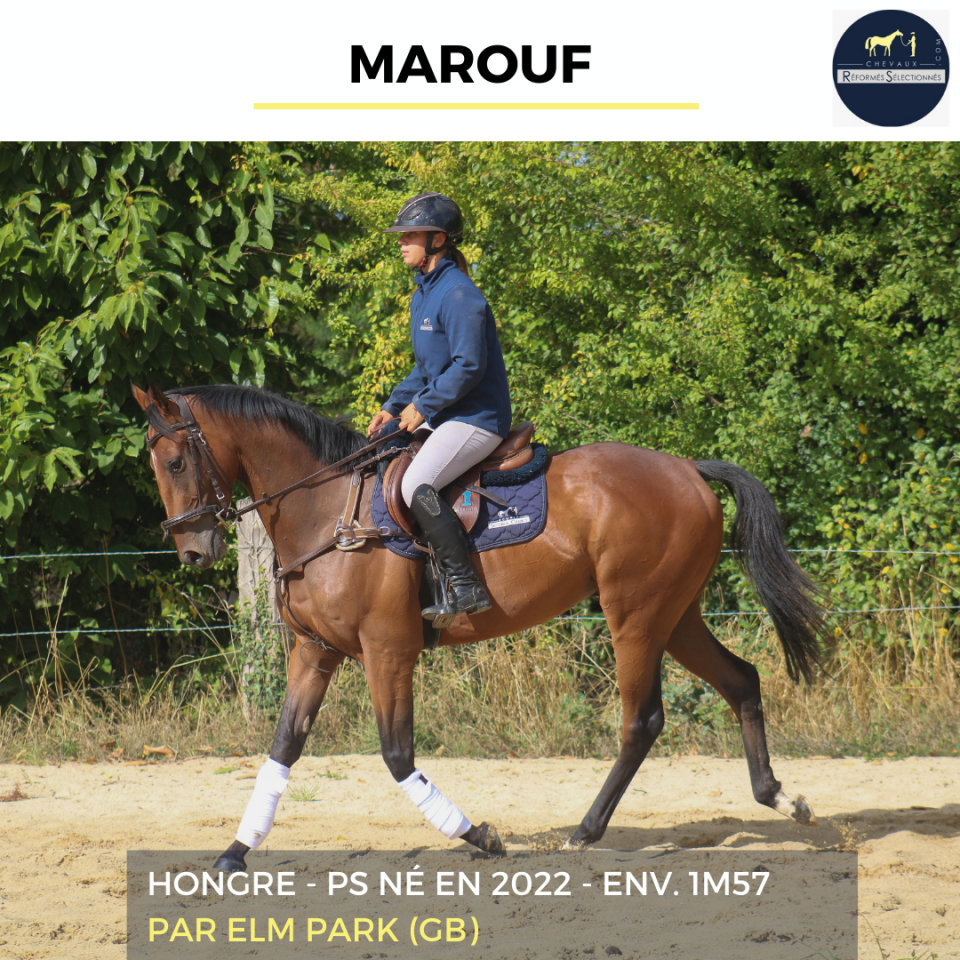MAROUF - PS - 3 ANS