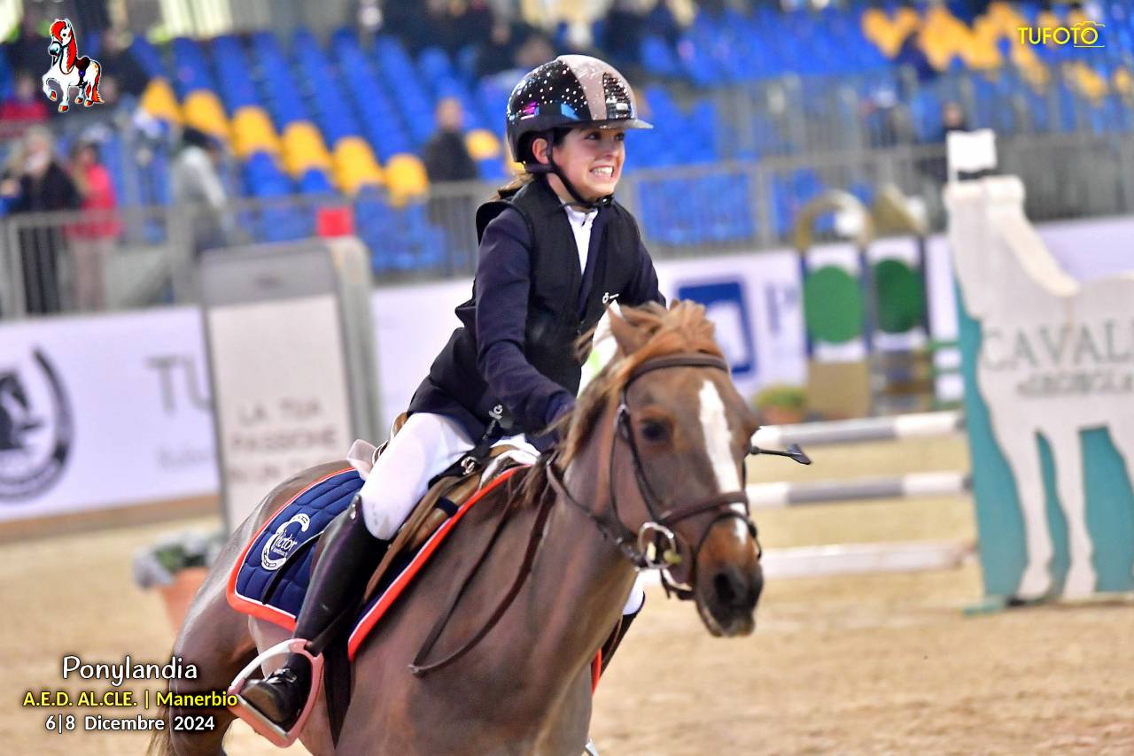 Jument Autre Race de Poney A vendre 2009 Alezan brulé