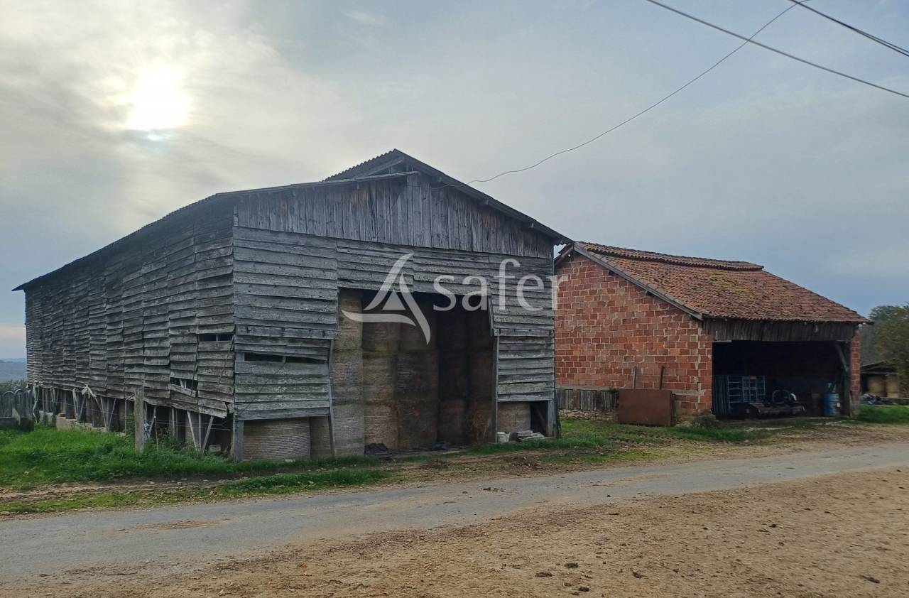 Exploitation d'élevage avec irrigation sur 75ha en vente et loc