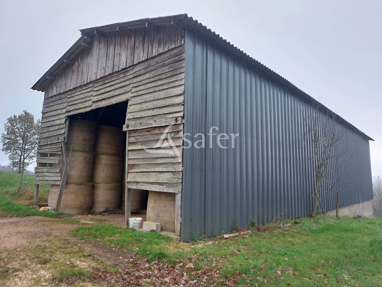 Exploitation d'élevage avec irrigation sur 75ha en vente et loc