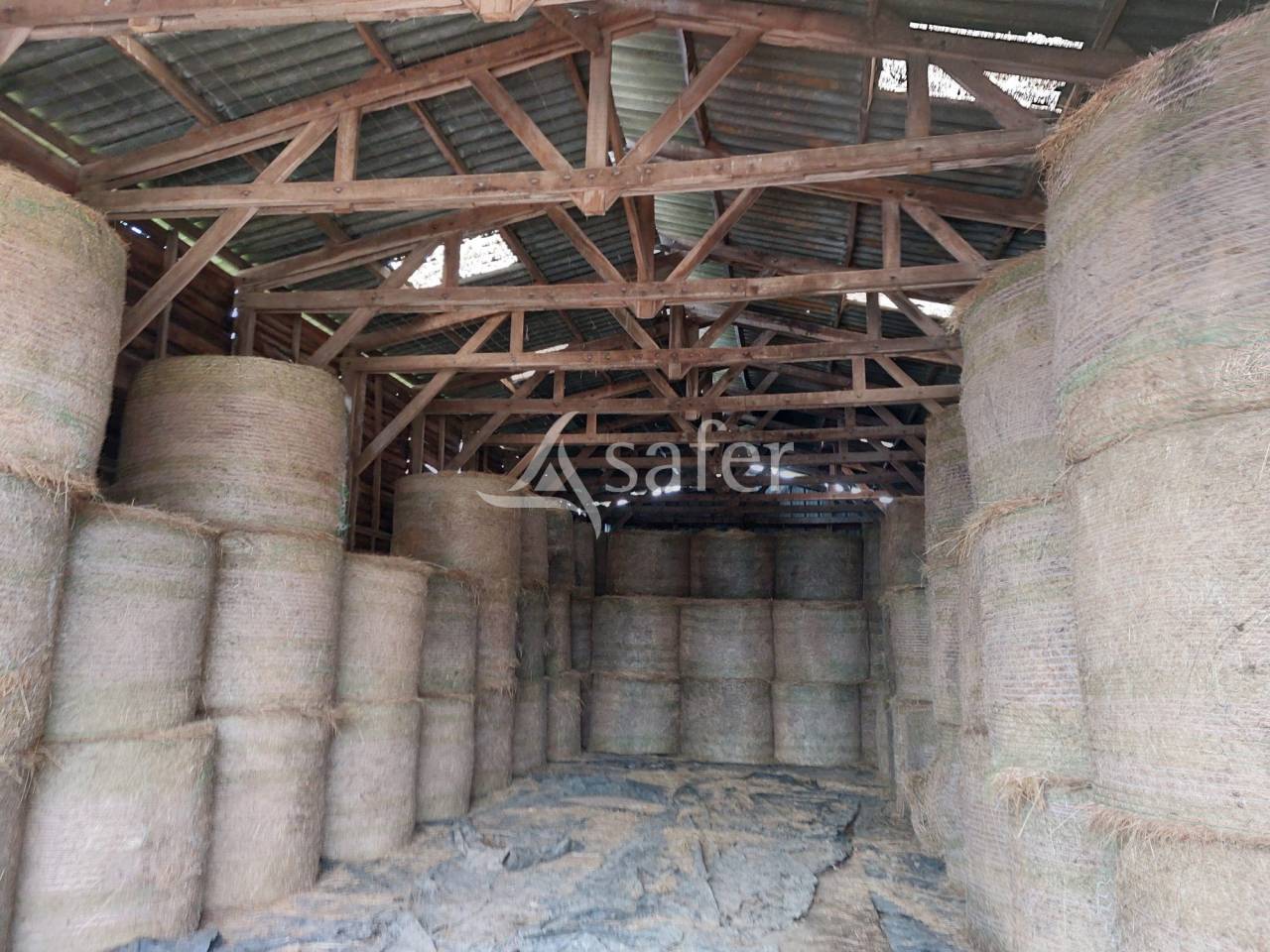 Exploitation d'élevage avec irrigation sur 75ha en vente et loc