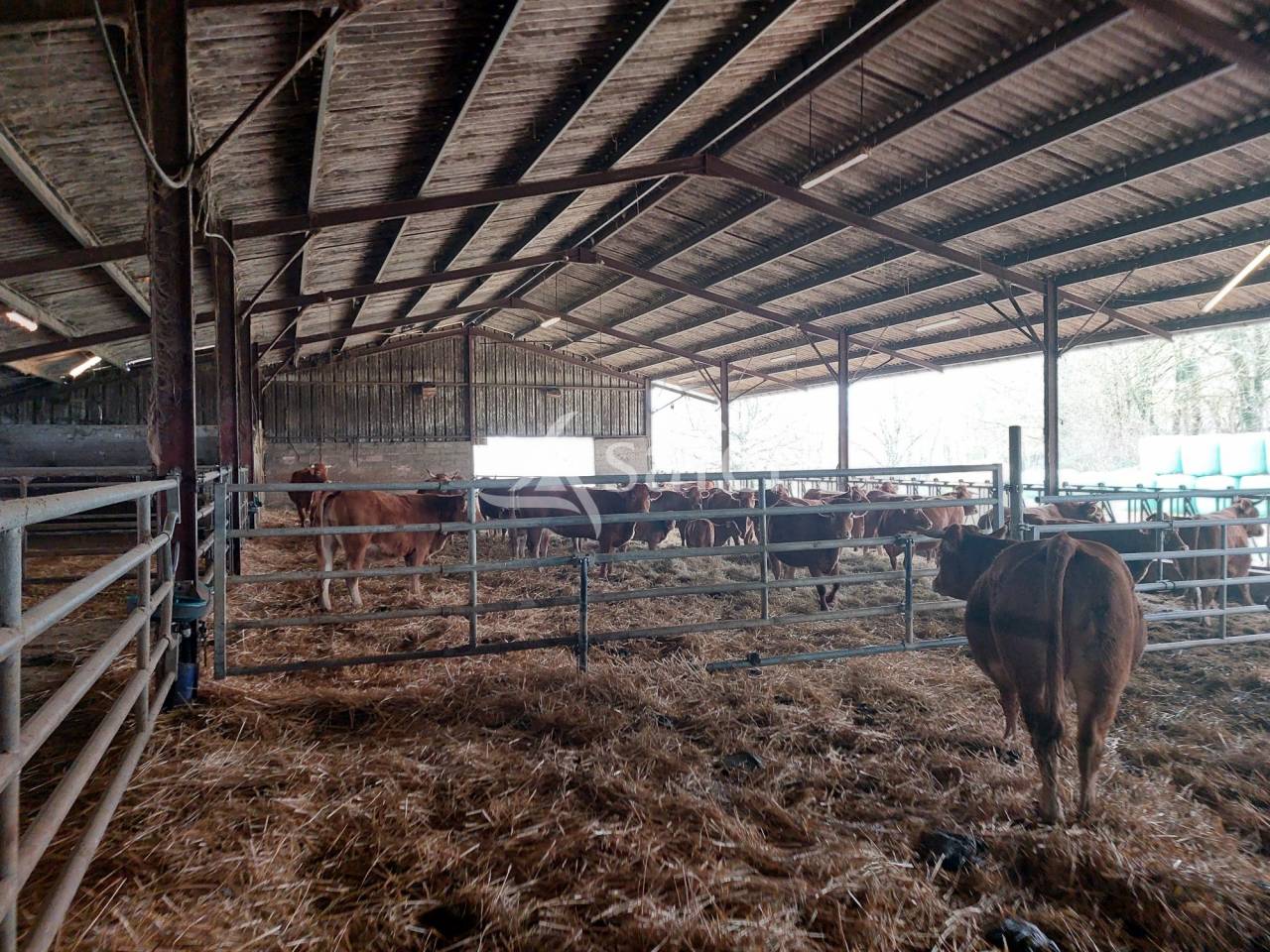 Exploitation d'&eacute;levage avec irrigation sur 75ha en vente et loc