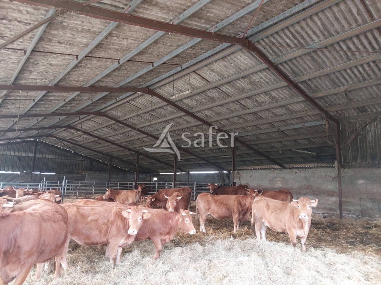 Exploitation d'&eacute;levage avec irrigation sur 75ha en vente et loc