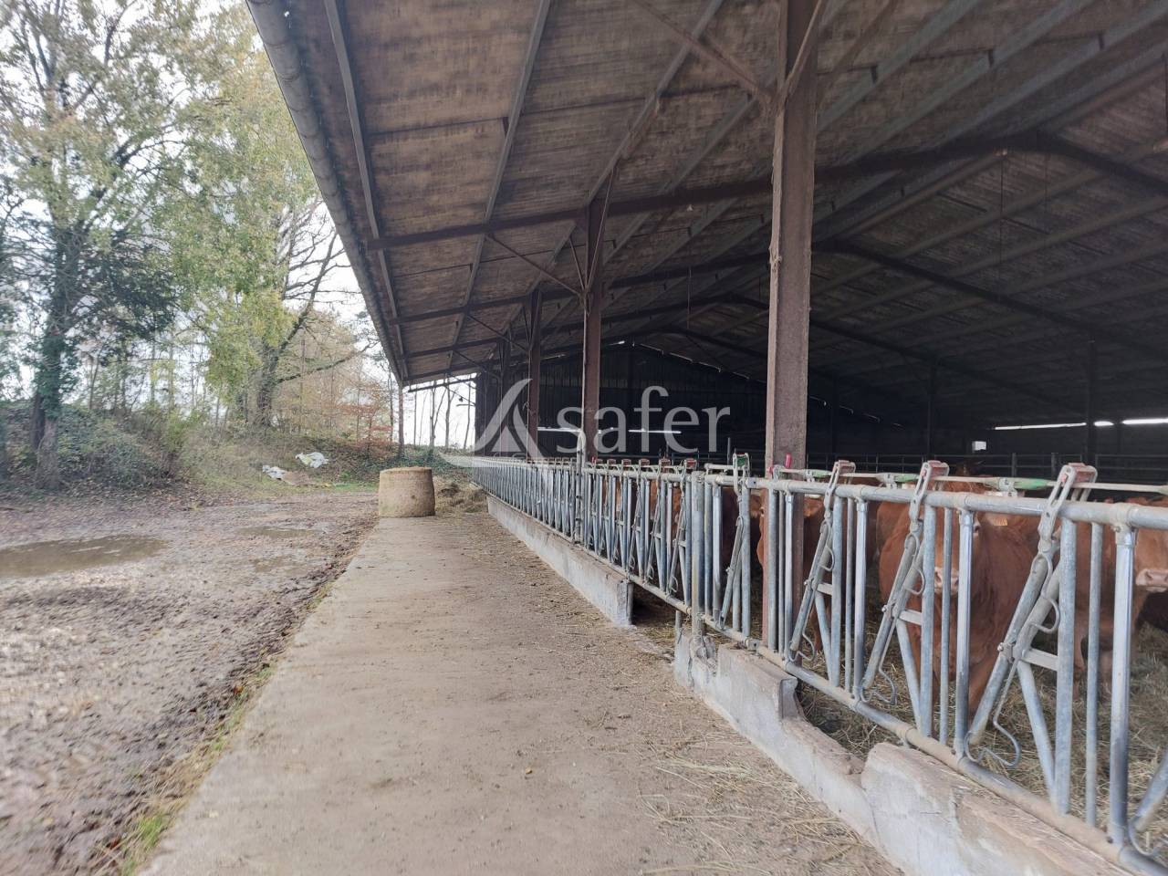 Exploitation d'&eacute;levage avec irrigation sur 75ha en vente et loc