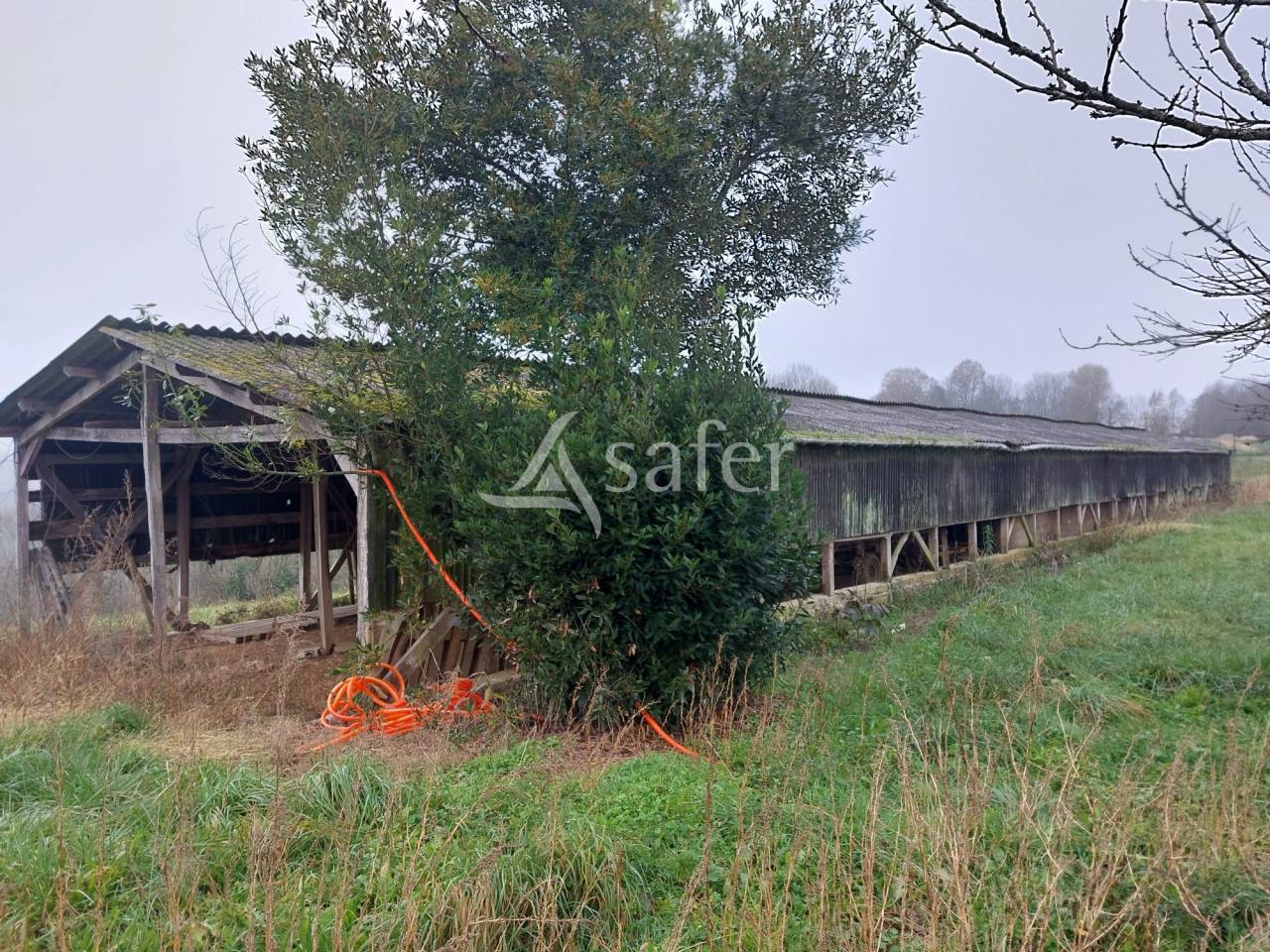 Exploitation d'&eacute;levage avec irrigation sur 75ha en vente et loc