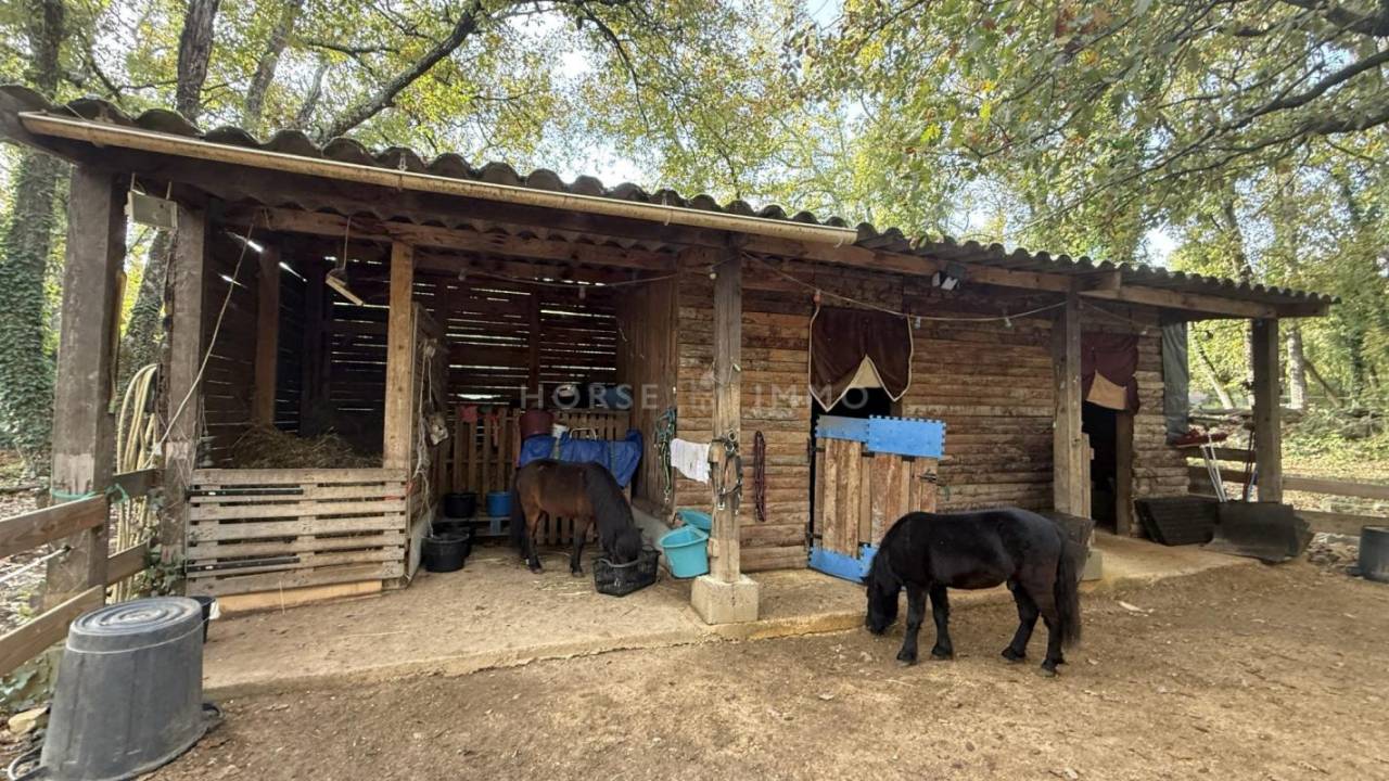 Jolie propriété équestre à l'ambiance ranch