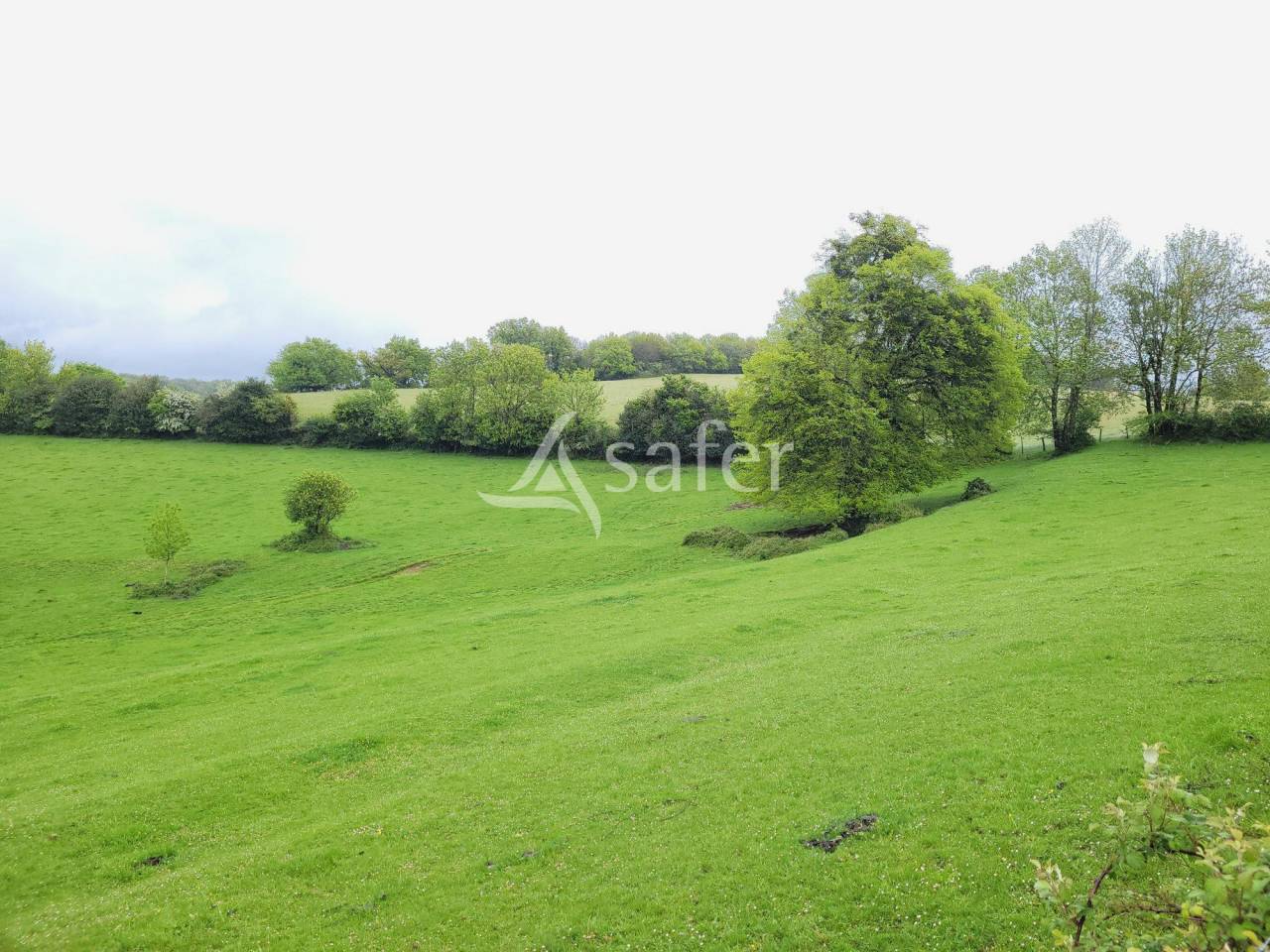 Exploitation agricole BIO 52 ha TARN Castres