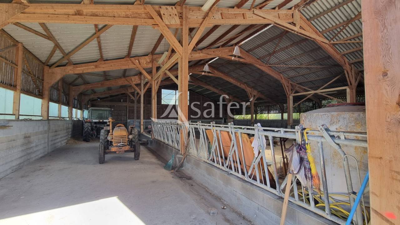 Exploitation agricole 20ha