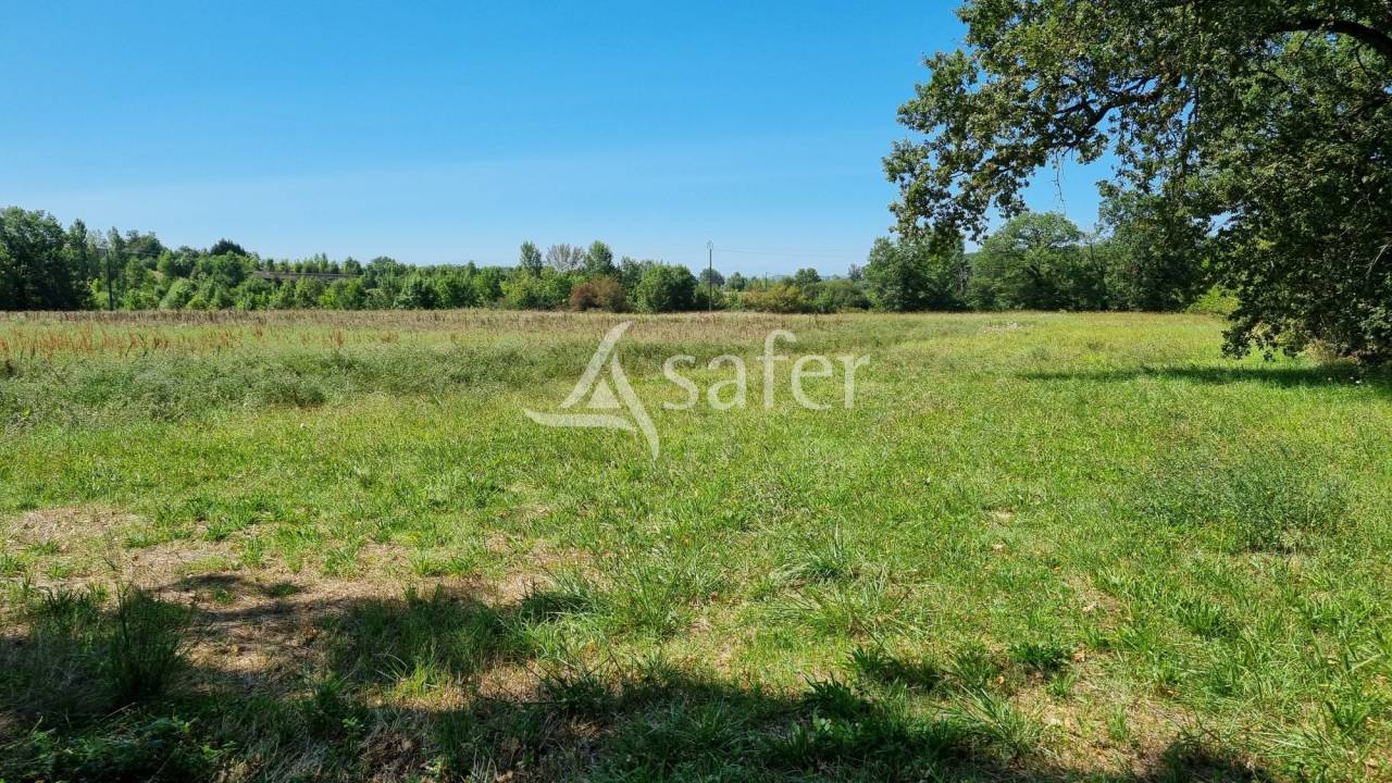 Exploitation agricole 20ha