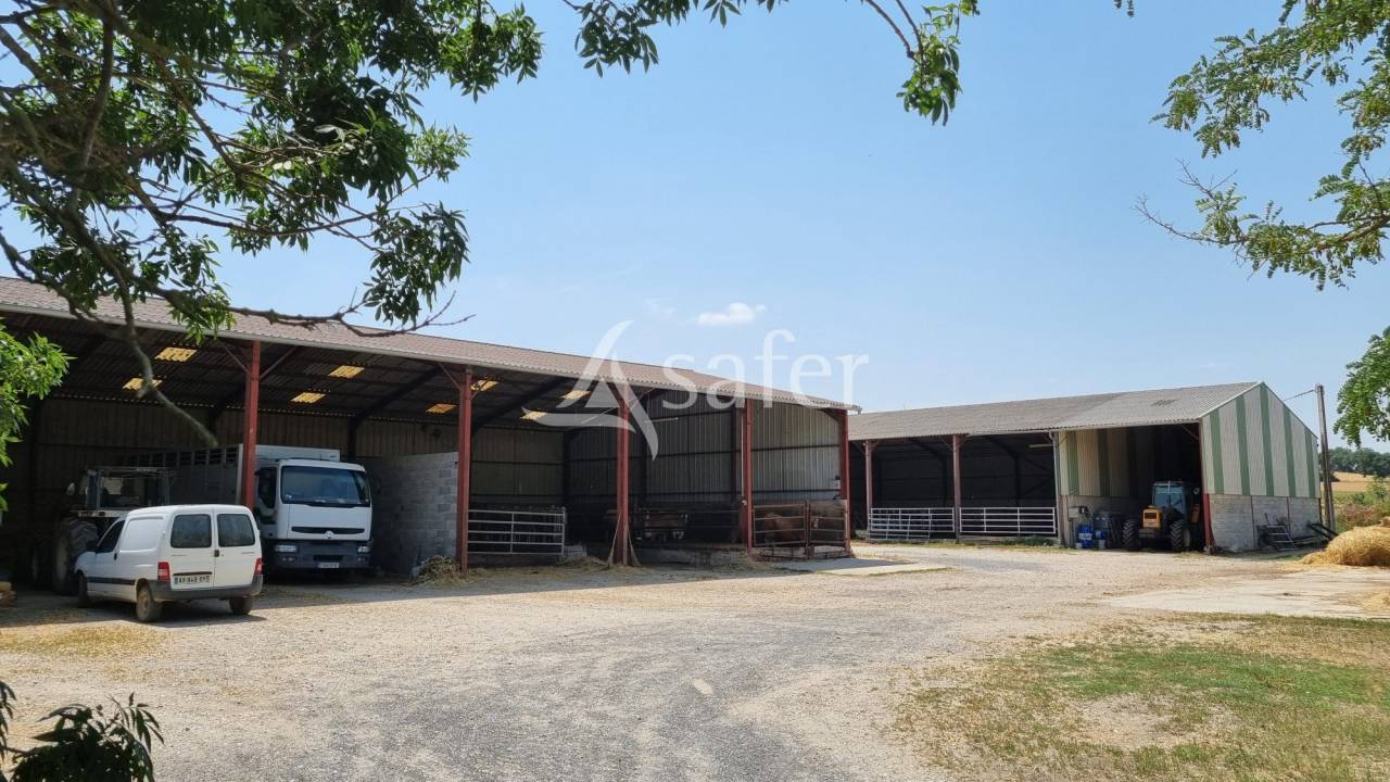 Exploitation agricole 6ha de terres Lavaur TARN