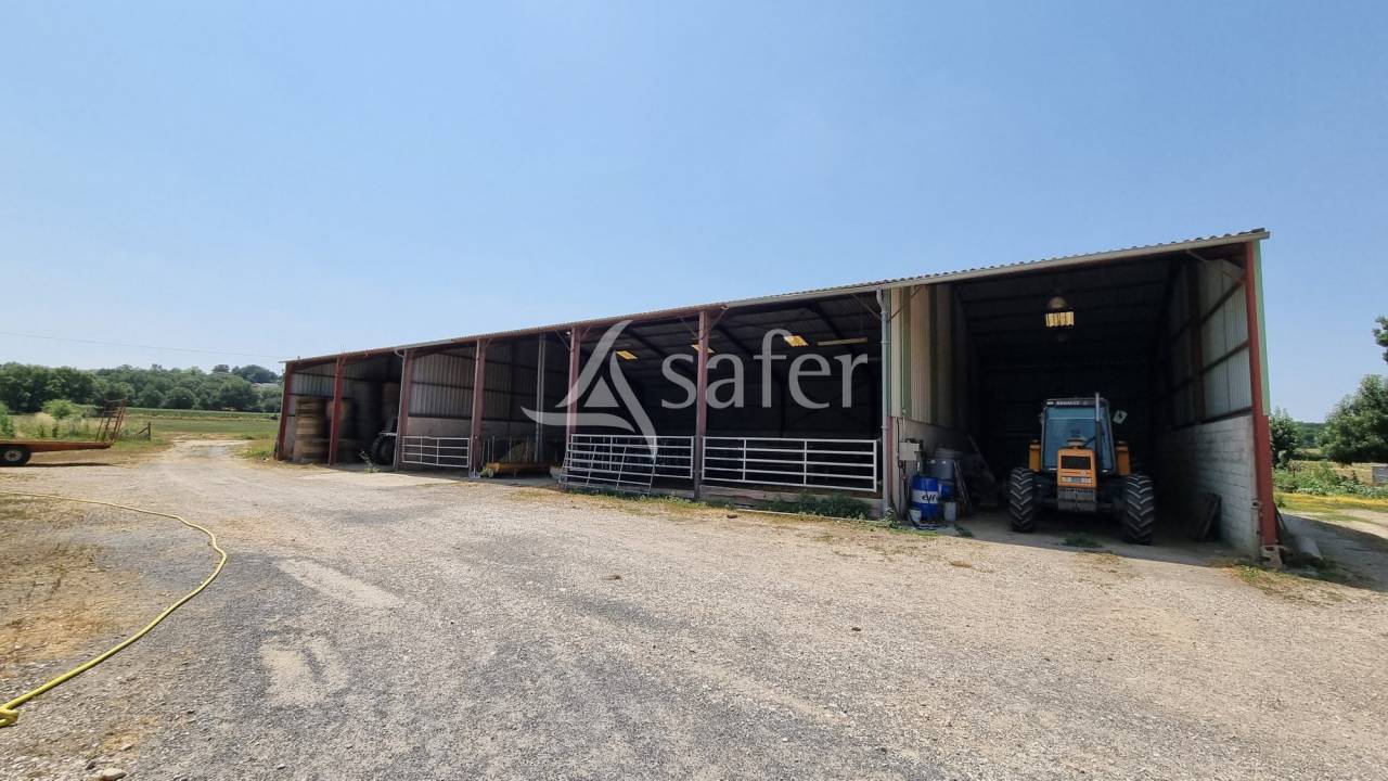 Exploitation agricole 6ha de terres Lavaur TARN