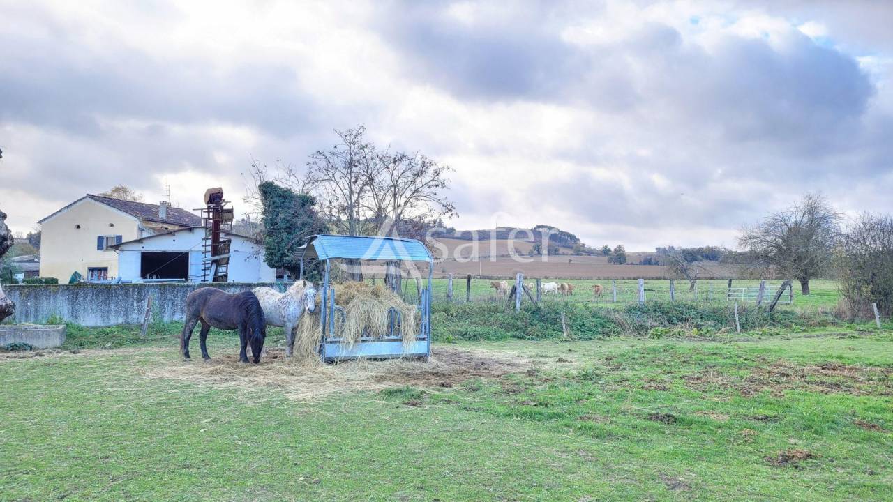 Exploitation agricole 6ha de terres Lavaur TARN