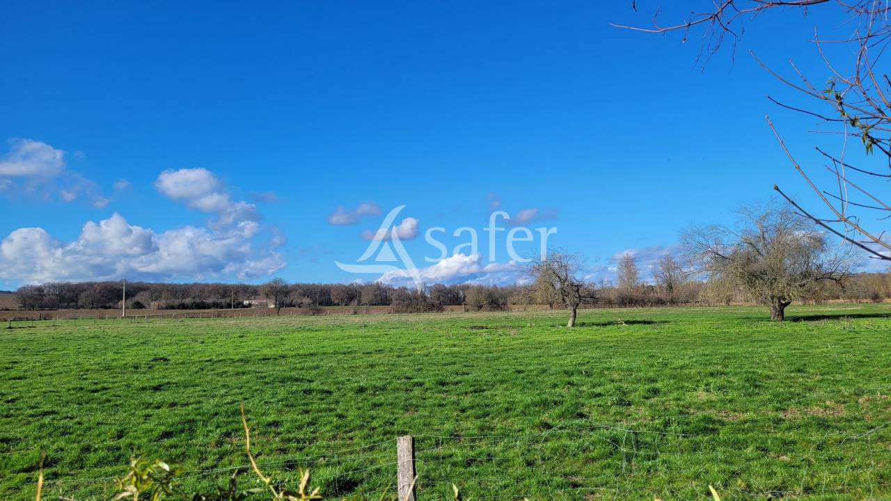 Exploitation agricole 6 ha de terres - Lavaur TARN