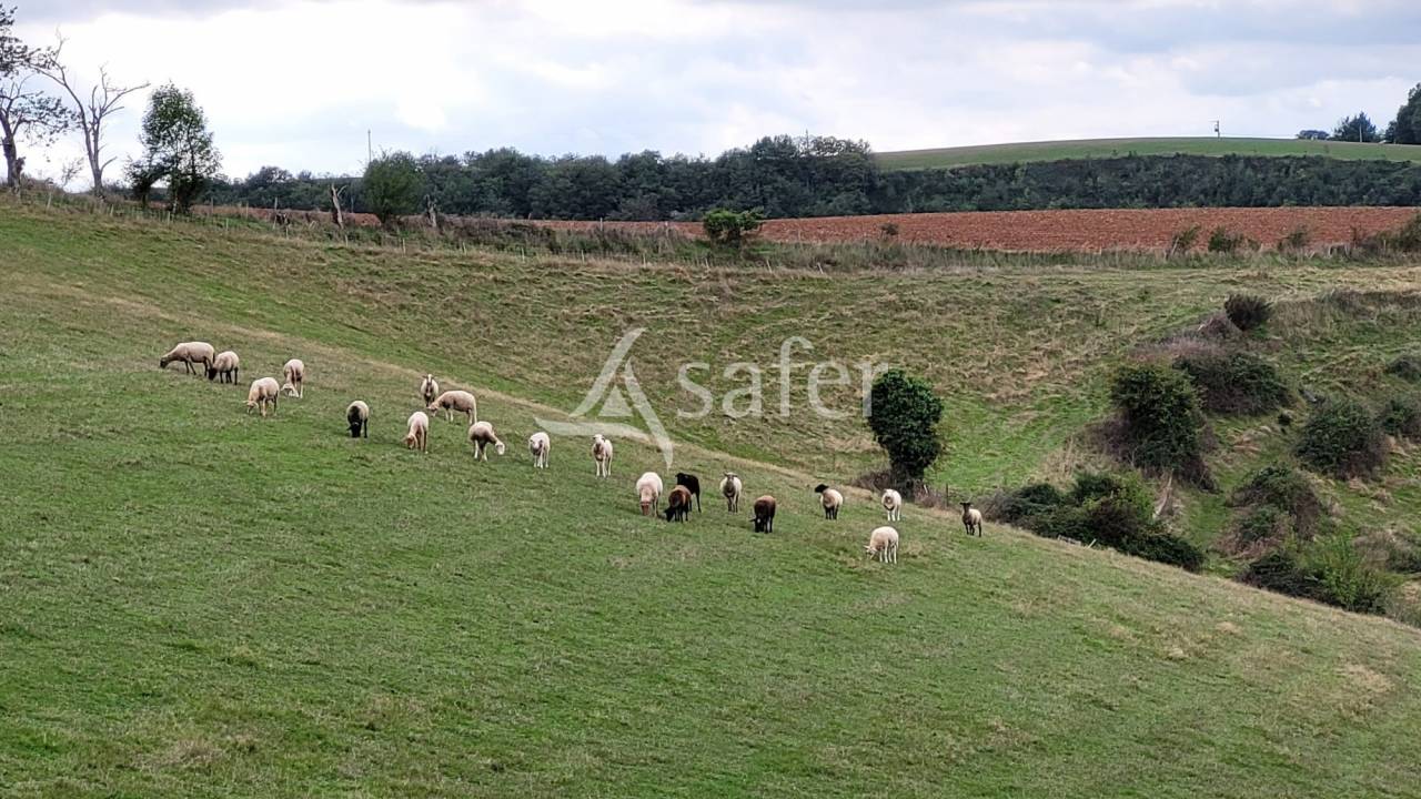 Corps de ferme 8ha 50a proche Aveyron