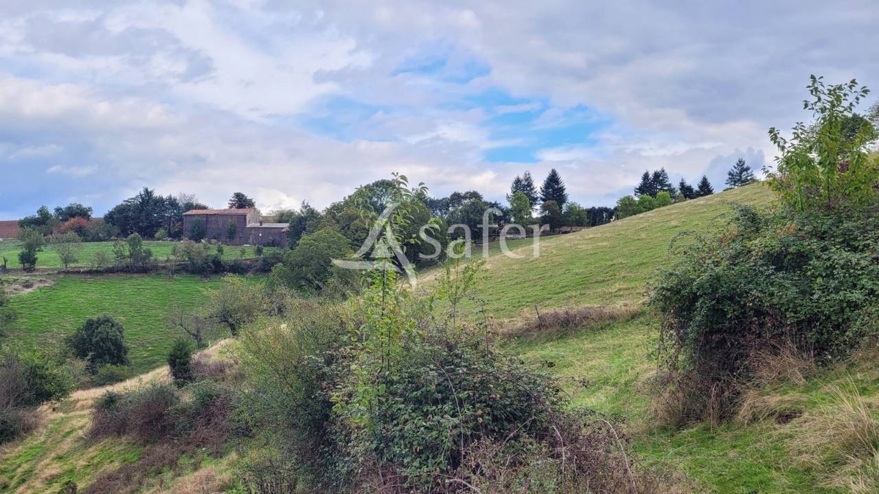 Corps de ferme 8ha 50a proche Aveyron