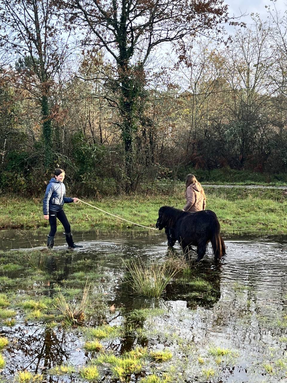 Ponette d&rsquo;avenir 