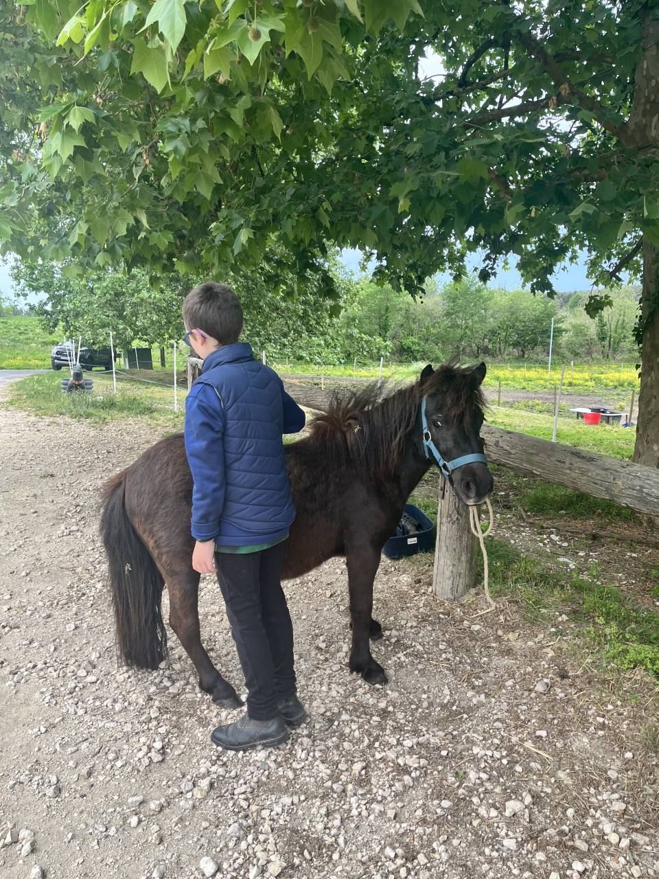 Adorable Ponette d&rsquo;avenir PP gentille et manipul&eacute;e