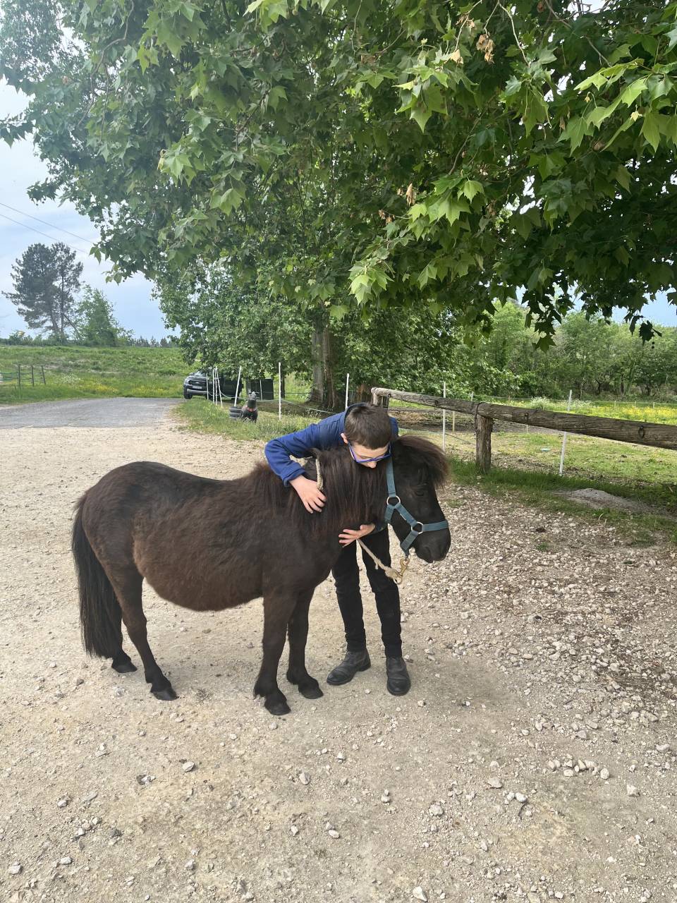 Adorable Ponette d&rsquo;avenir PP gentille et manipul&eacute;e