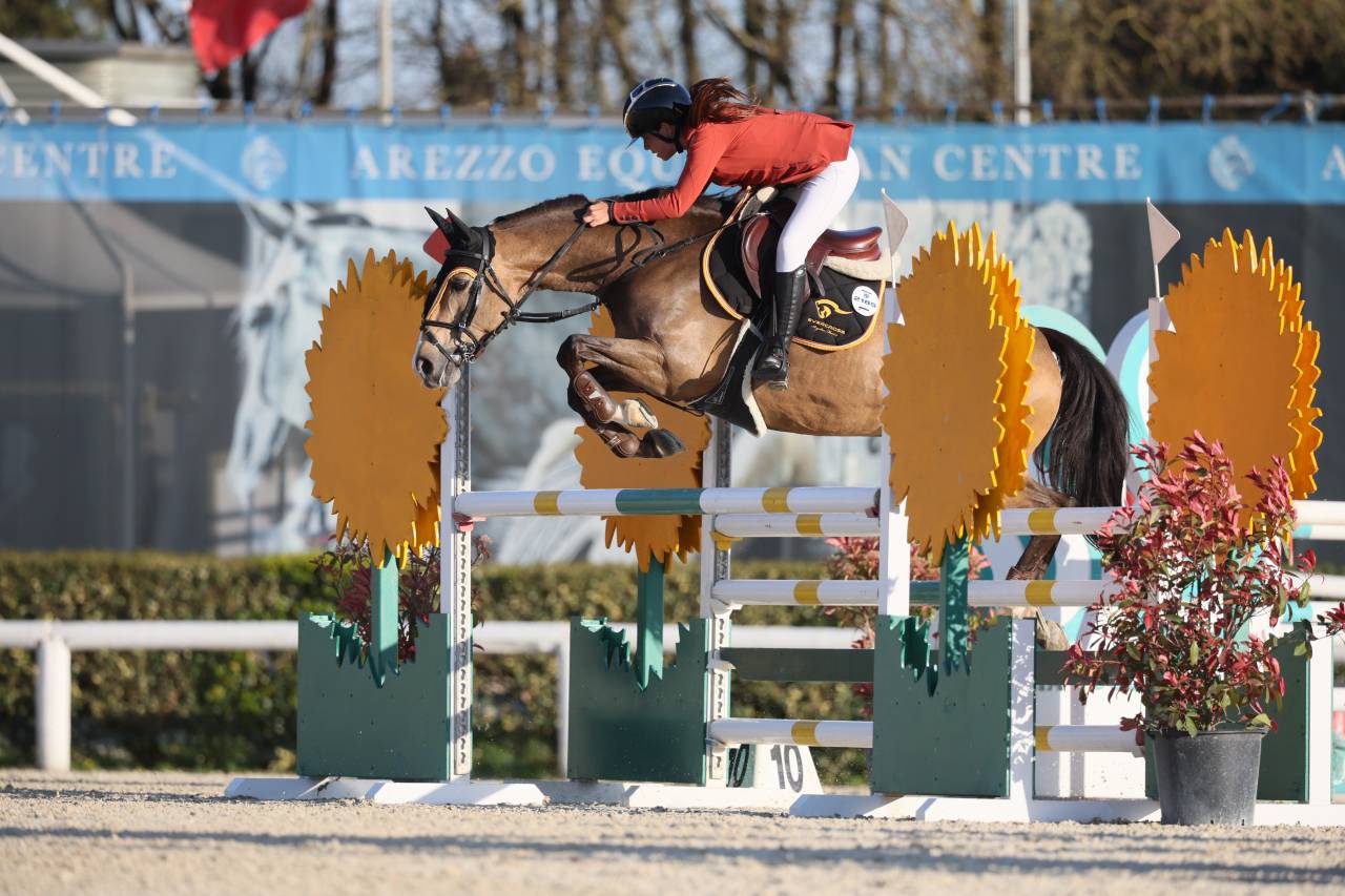 Poney incroyable!