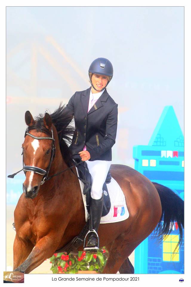 Cheval maitre d école 