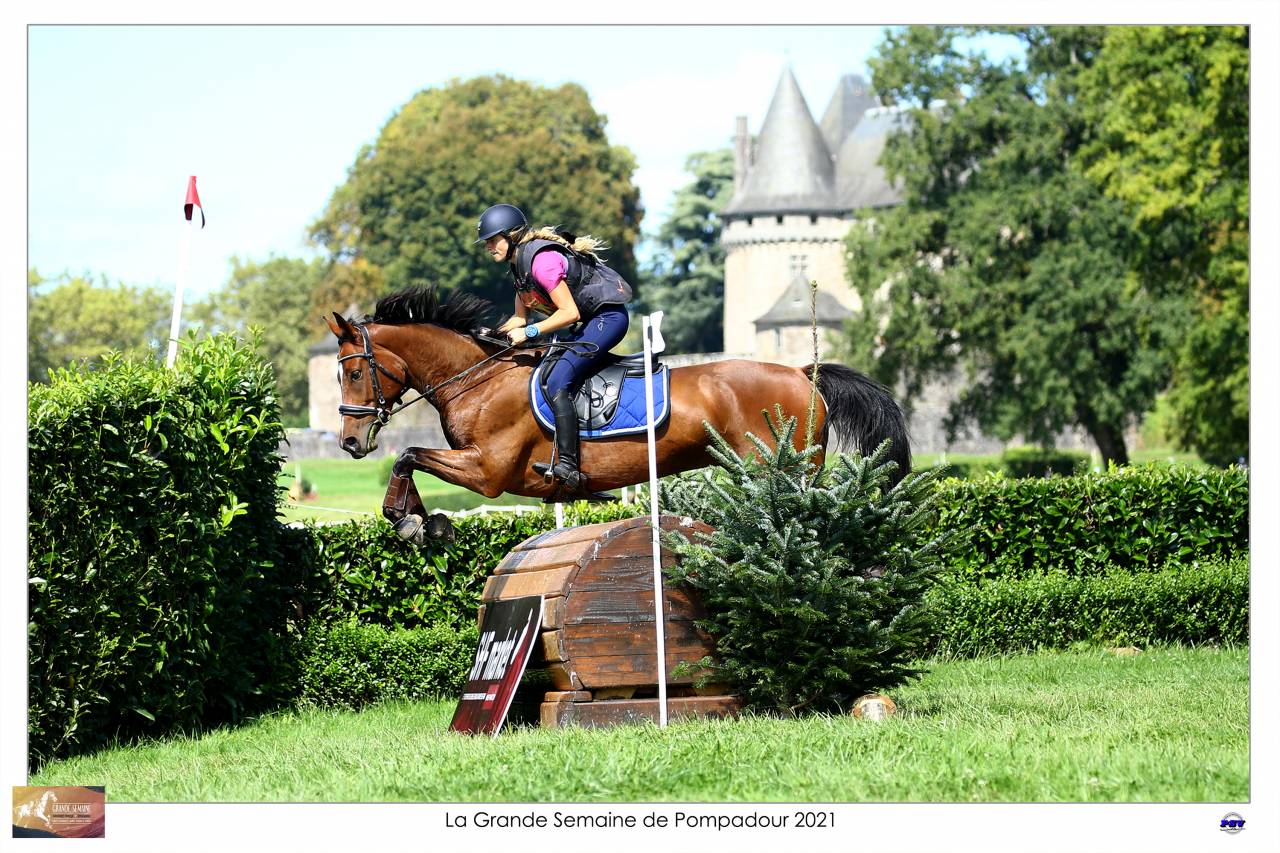 Cheval maitre d école 