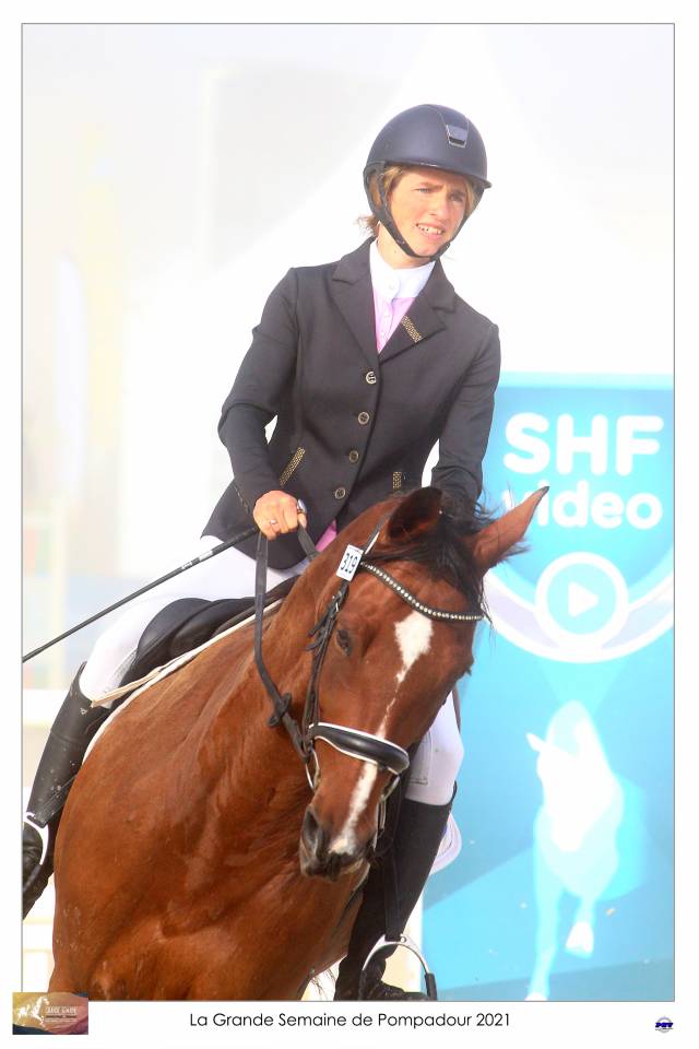 Cheval maitre d école 