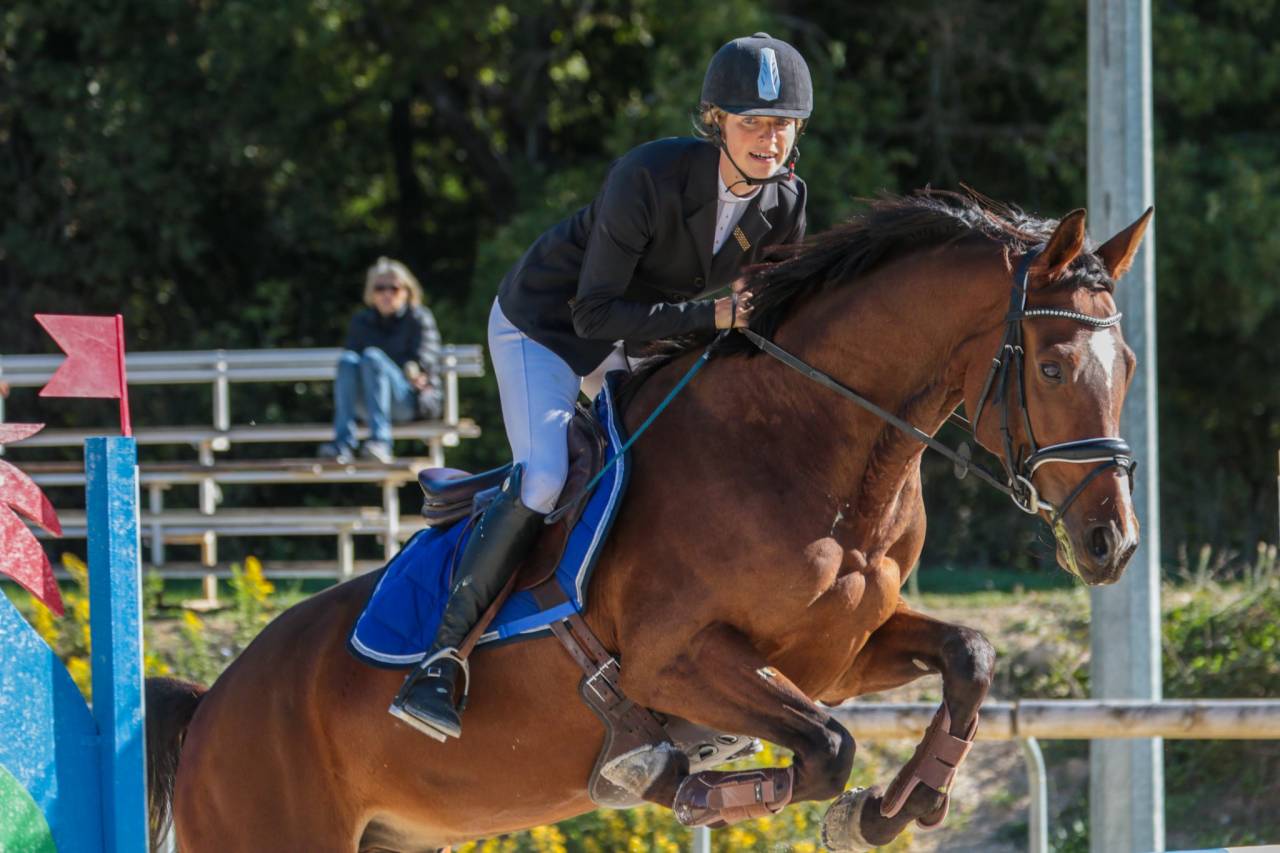Cheval maitre d école 