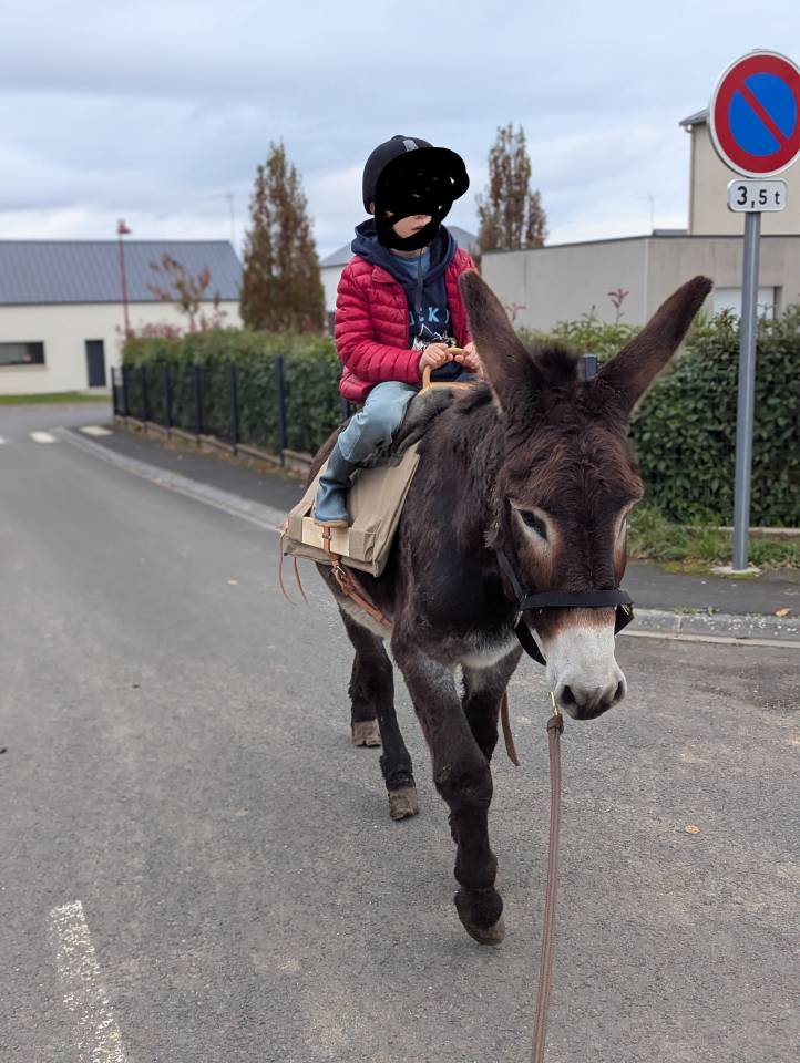 &Acirc;nes &acirc;nesses anons 