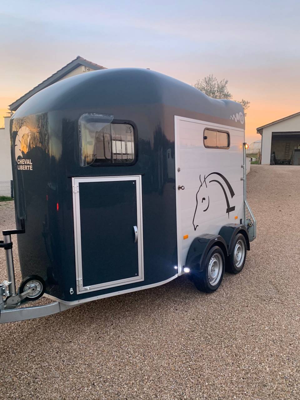 Van occasion Gold 3 - 2021