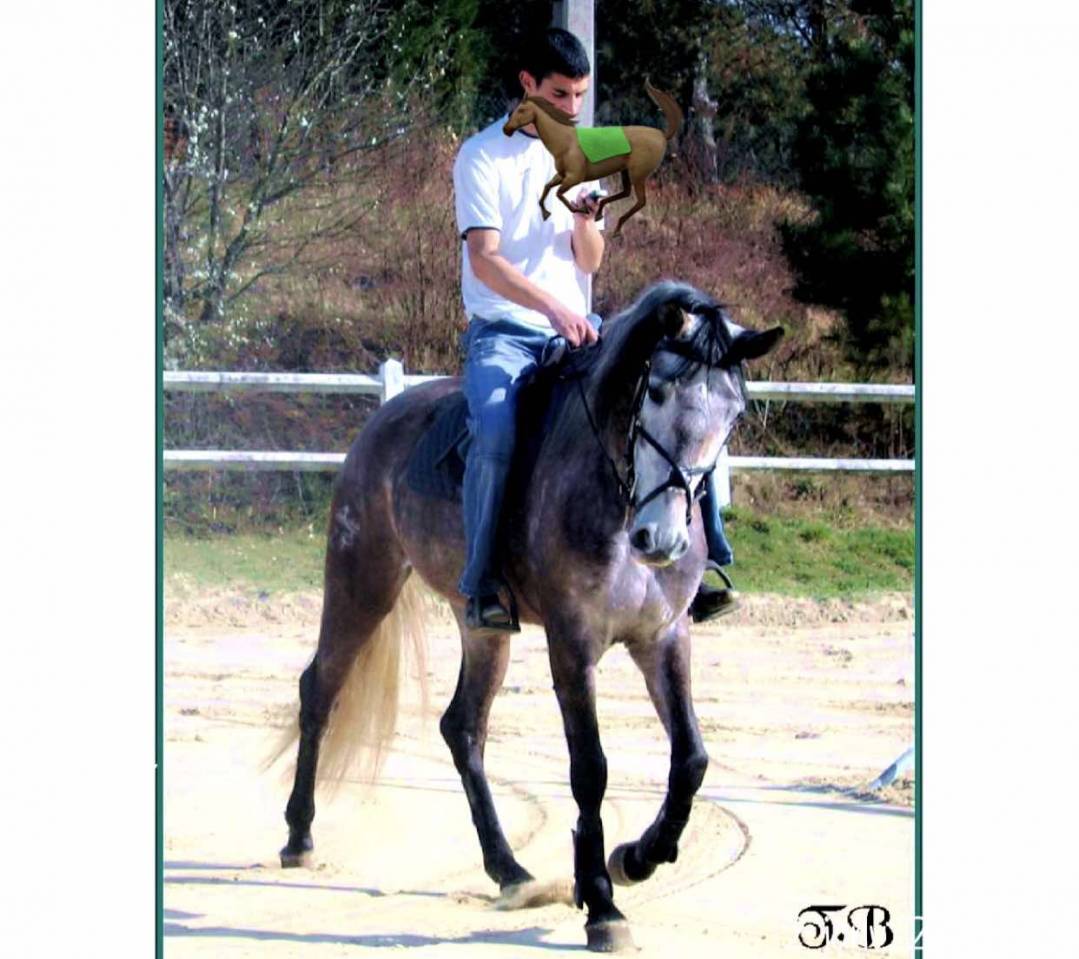 recherche poste de palefrenier Lyon 69