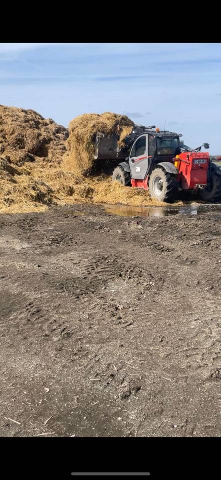 recherche poste de palefrenier Lyon 69