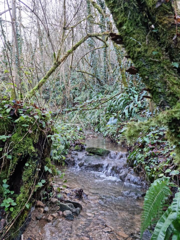 Propri&eacute;t&eacute; sur 4 ha en bordure du Lot, proche Figeac