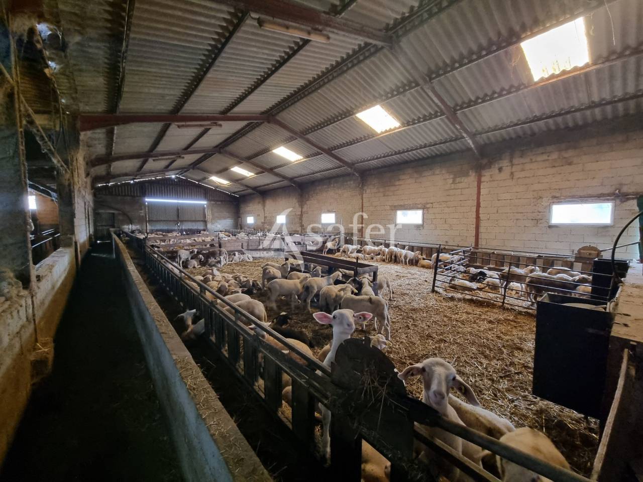 Exploitation d'&eacute;levage sur 40 ha dans le Limargue lotois