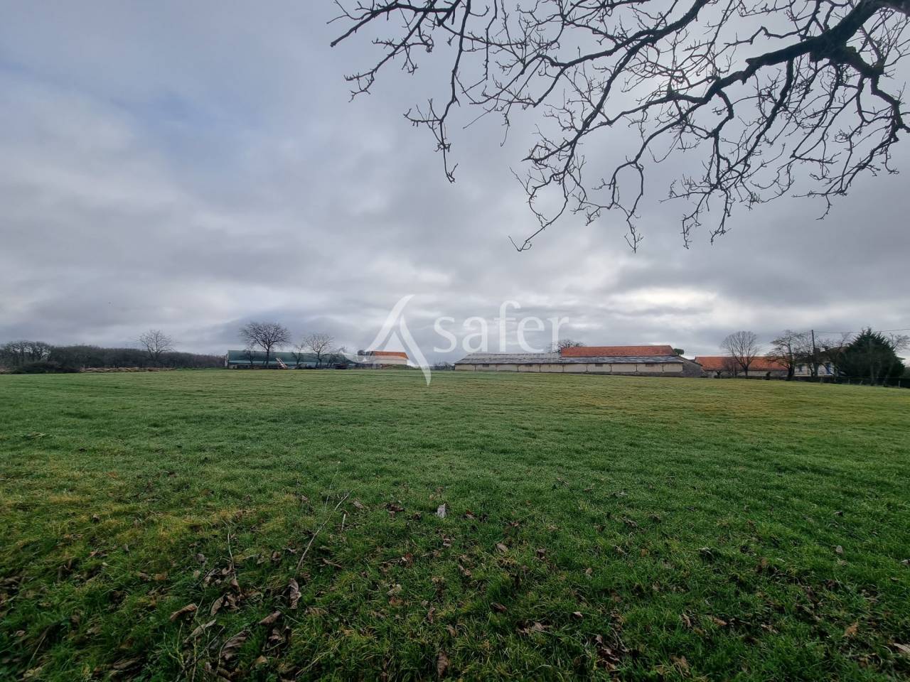 Exploitation d'&eacute;levage sur 40 ha dans le Limargue lotois