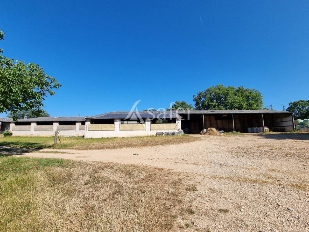 Exploitation ovine sur 220 ha Parc Naturel des Causses du Quercy
