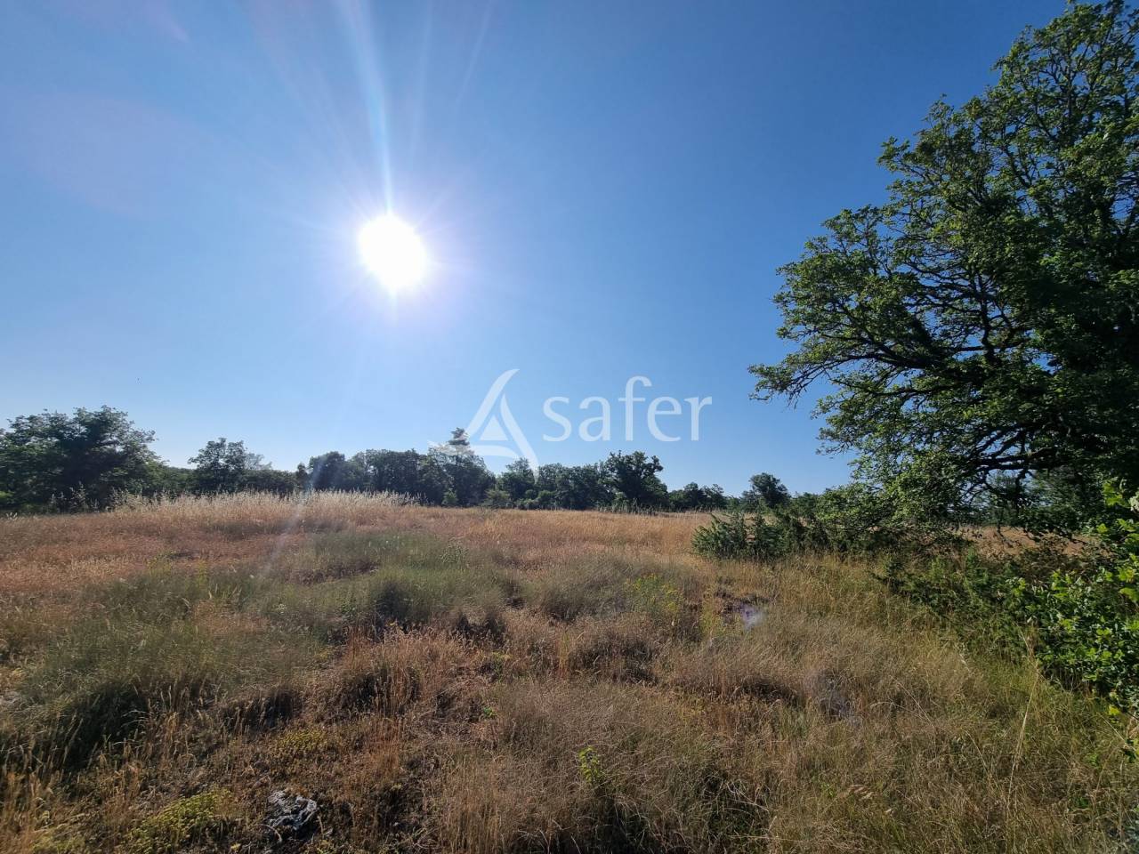 Exploitation ovine sur 220 ha Parc Naturel des Causses du Quercy