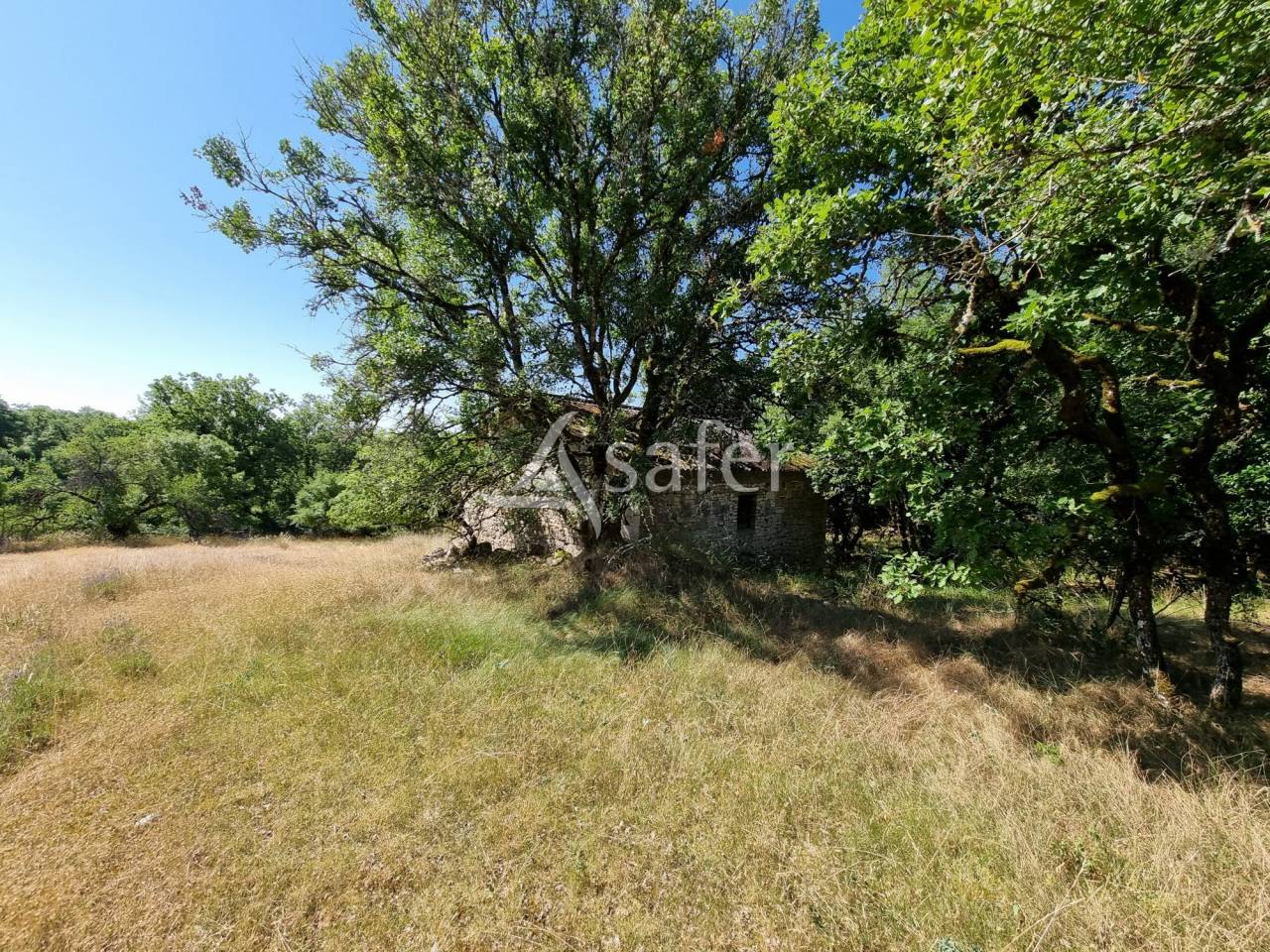 Exploitation ovine sur 220 ha Parc Naturel des Causses du Quercy