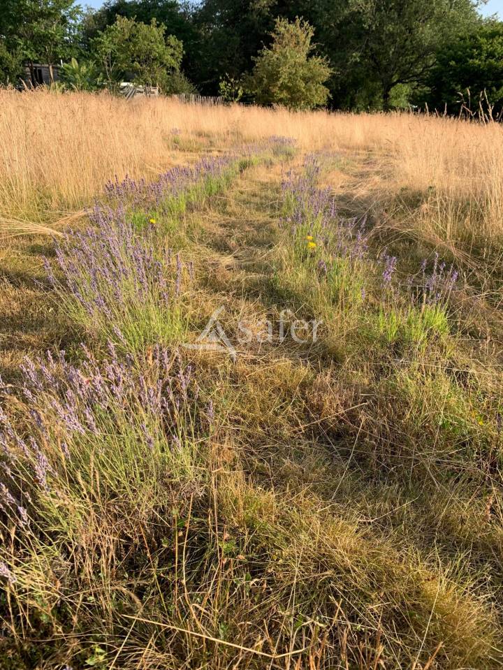 Propri&eacute;t&eacute; Rurale de caract&egrave;re sur 4 ha