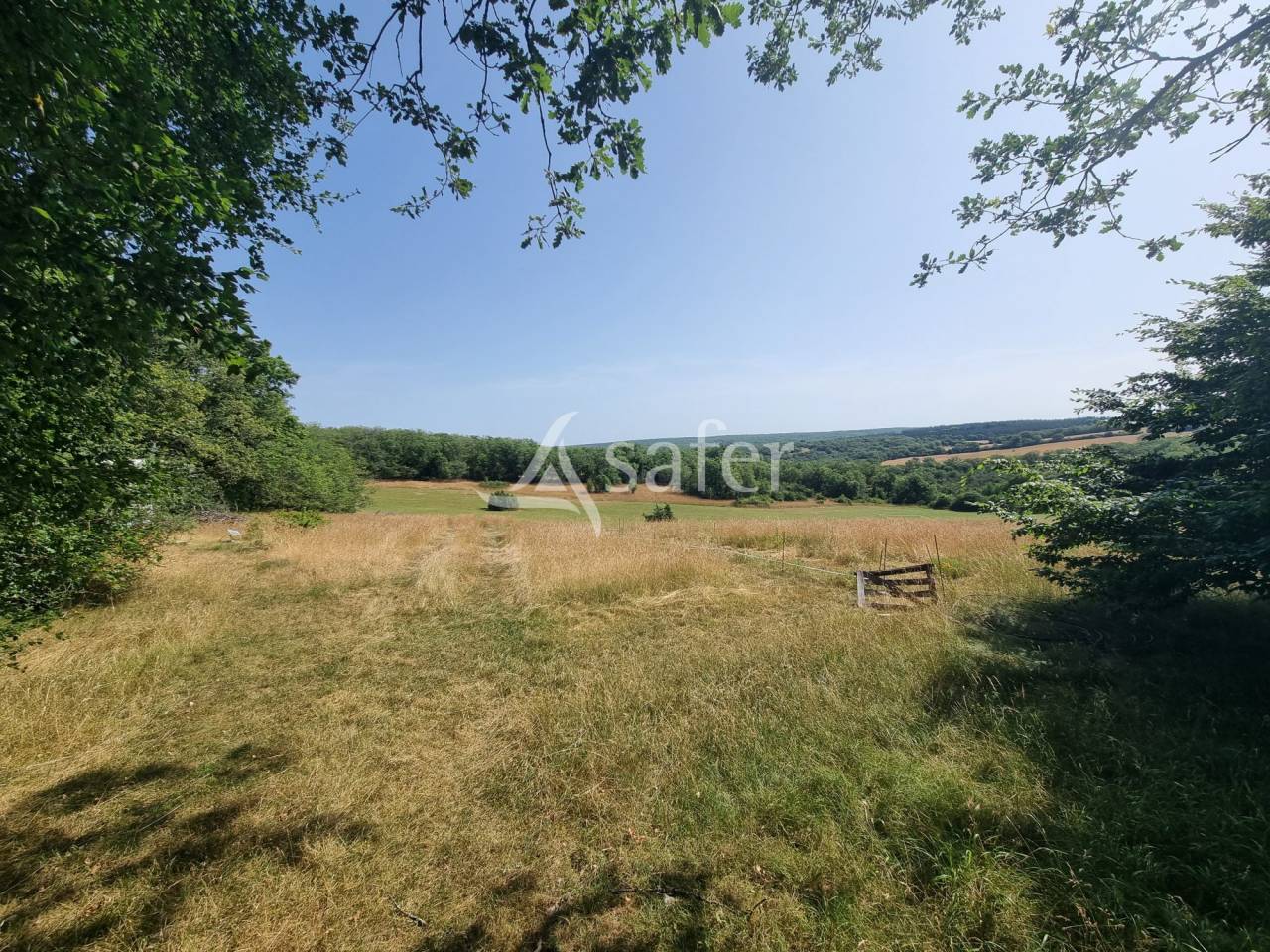 Propri&eacute;t&eacute; Rurale de caract&egrave;re sur 4 ha