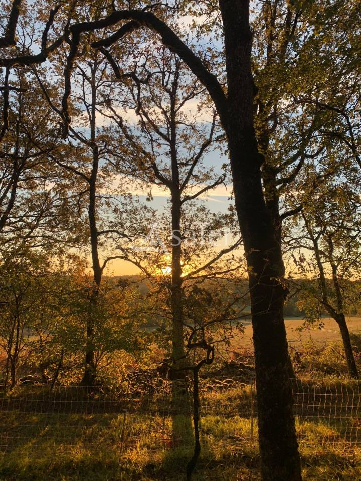 Propri&eacute;t&eacute; Rurale de caract&egrave;re sur 4 ha