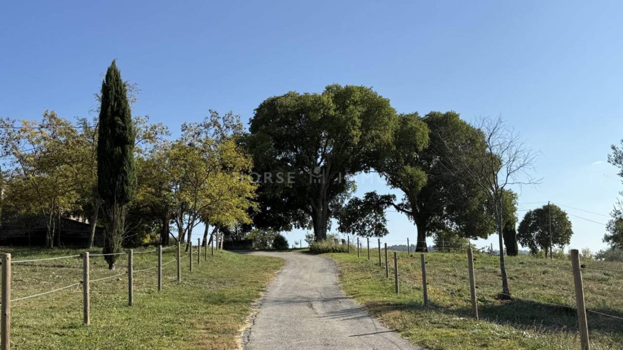 L'Art de Vivre Cévenol, entre Élégance, Nature et Sérénit