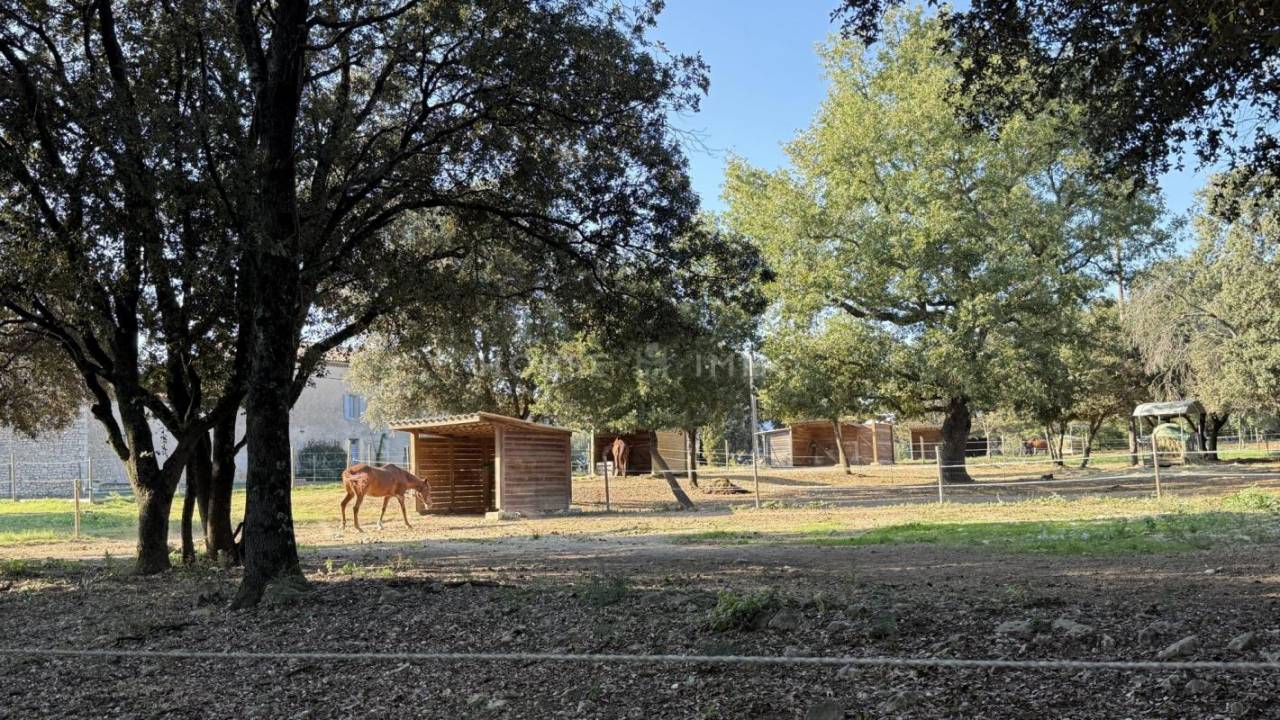 L'Art de Vivre Cévenol, entre Élégance, Nature et Sérénit